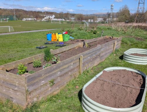 A Busy Day in the Garden!