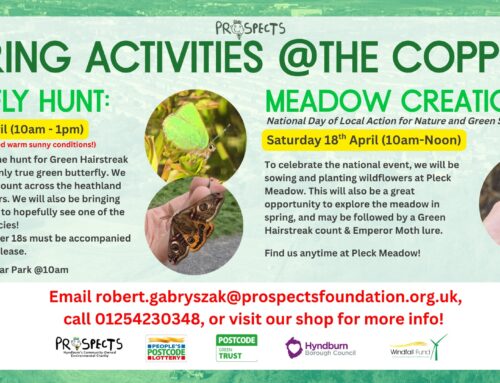 Spring Activities at Peel Park & the Coppice LNR