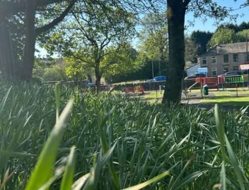 Work begins on improvements to the play area at Gatty Park