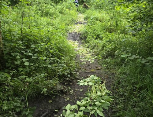 News from Friends of Arden Hall & The Coppice